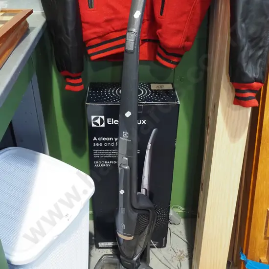 Electrolux stick vacuum