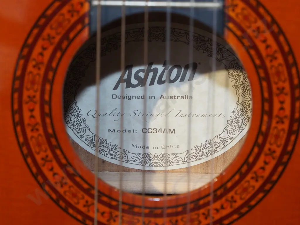Ashton acoustic guitar in soft carry case Image 1++