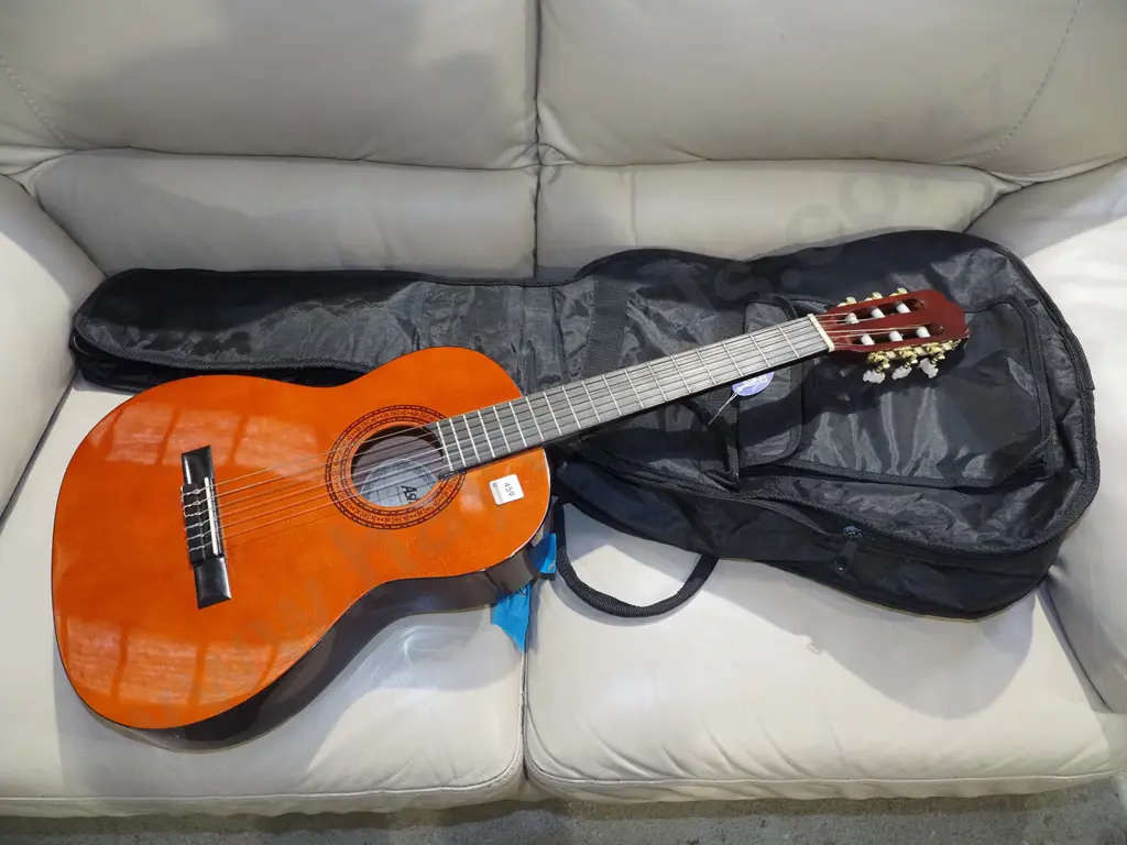 Ashton acoustic guitar in soft carry case Image 1++