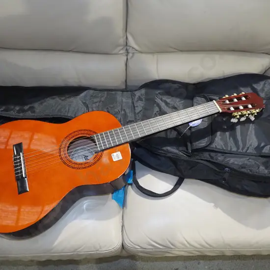 Ashton acoustic guitar in soft carry case