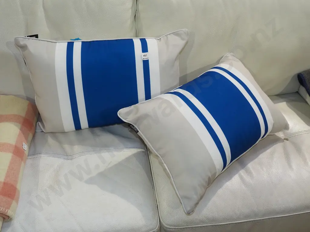 2x as new striped cushions Image 1++
