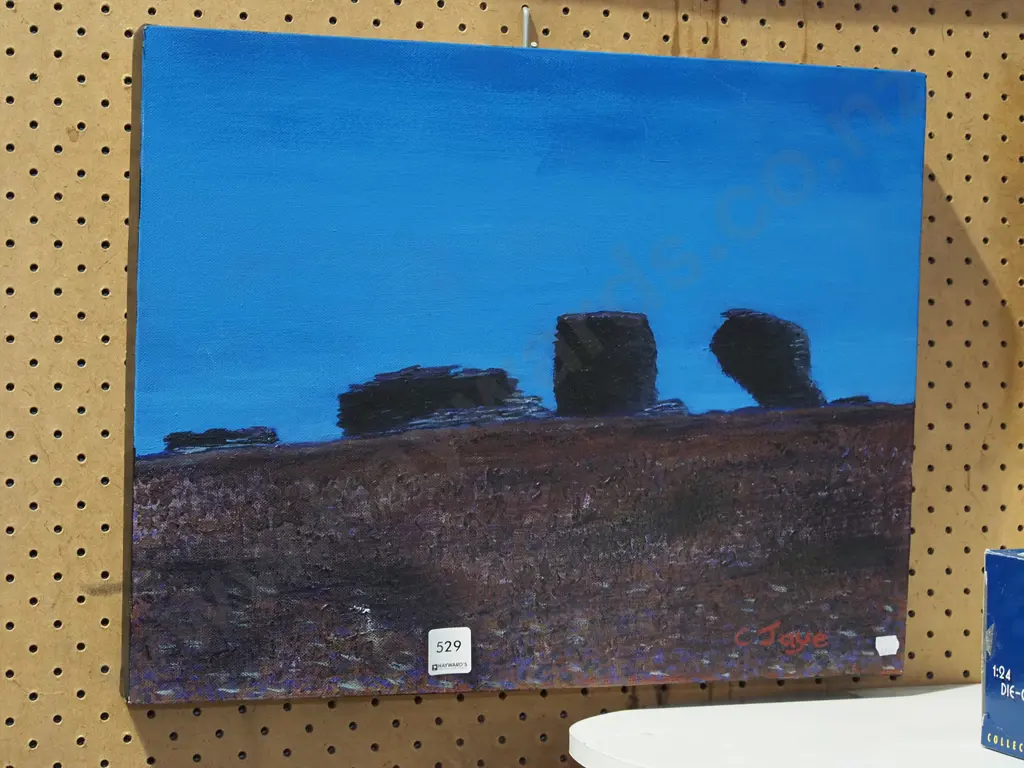 framed oil on canvas - stone formations Image 1++