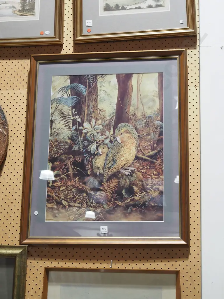 framed print - kakapos Image 1++