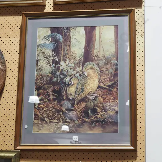 framed print - kakapos