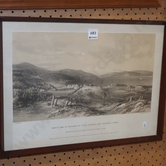 framed historic print - Dunedin 