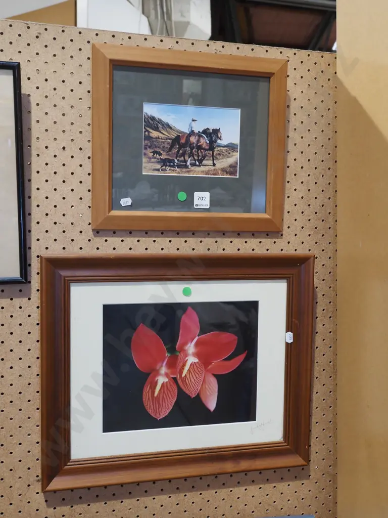 farmer and dog print, orchid print - green dots Image 1++
