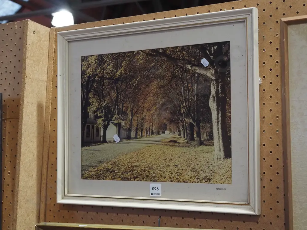 framed photo print - autumn leaves Arrowtown Image 1++