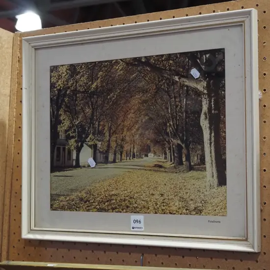 framed photo print - autumn leaves Arrowtown