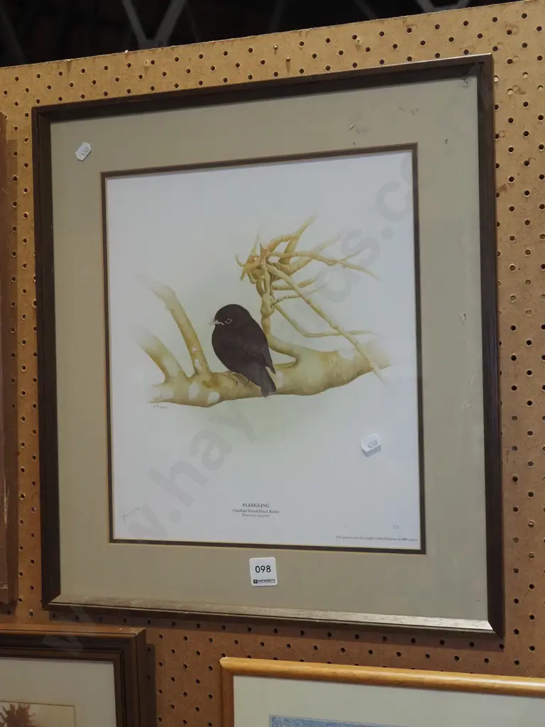 framed P Morse ltd edition print - black robin Image 1++