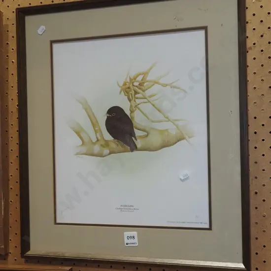 framed P Morse ltd edition print - black robin