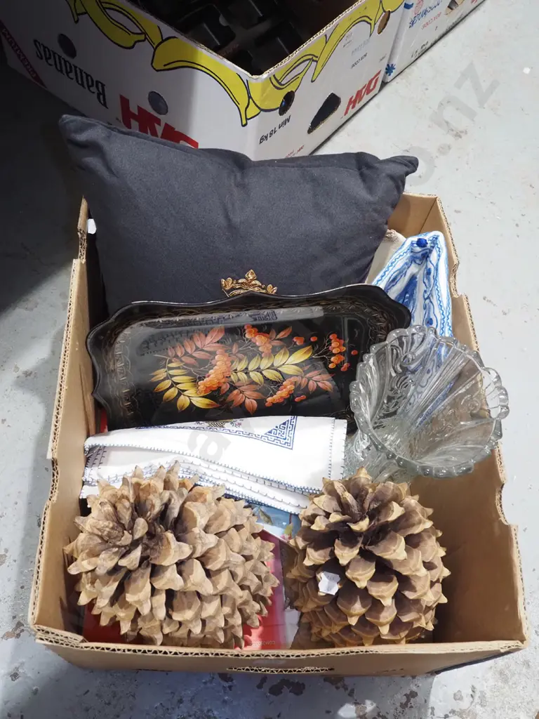 box; large pine cones, napkins, cushion etc Image 1++