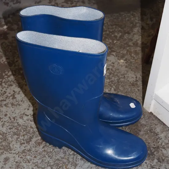pair of size 8/42 blue gumboots