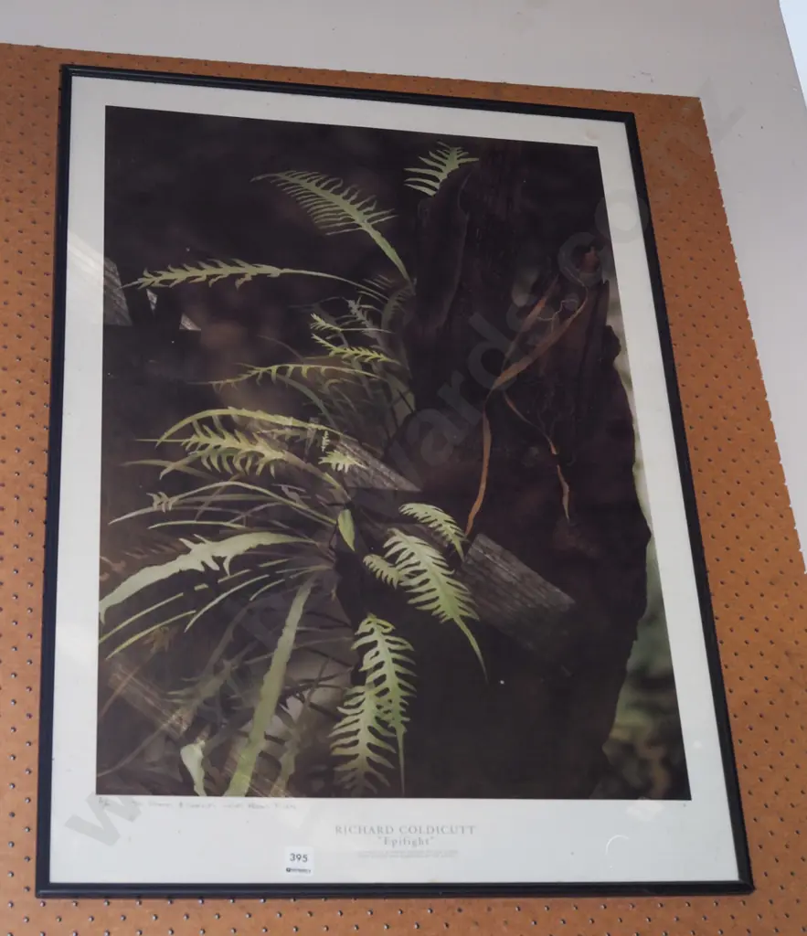 framed ltd edition photo print - epiphyte Image 1++