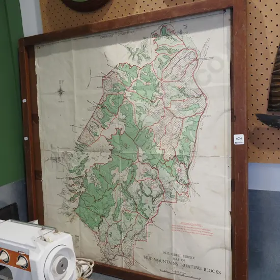 NZ Forest Service Map of Blue Mountains - on board
