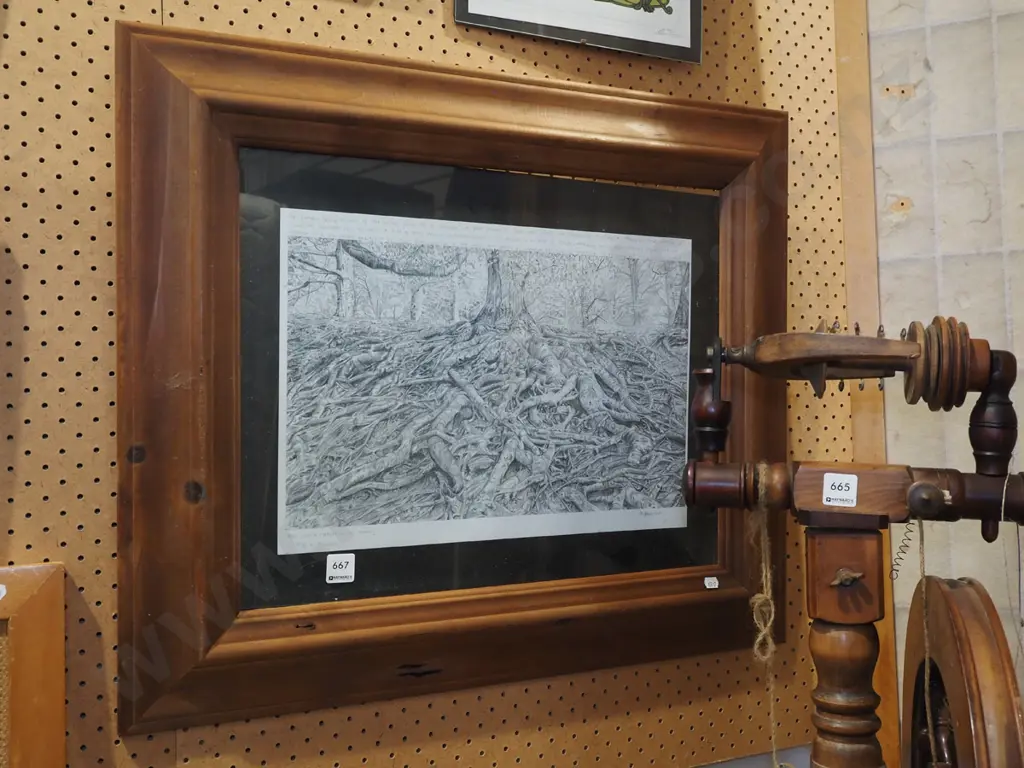 wood framed pencil - tree roots Image 1++
