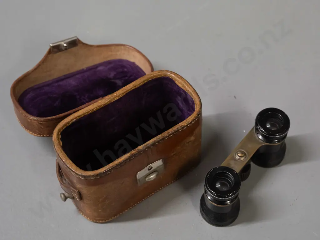 vintage Busch opera glasses with shagreen covering, brass body, marked Multinett DRP, focusing wheel marked Emil Busch Image 1++