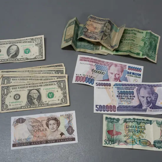 assorted bank notes - one NZ dollar, a US $10 and seven $1s, other overseas notes - some are very worn and stained