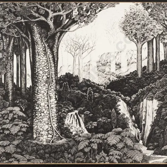 Rei Hamon 1971 -- framed print, New Zealand bush landscape, H-175 W-250
