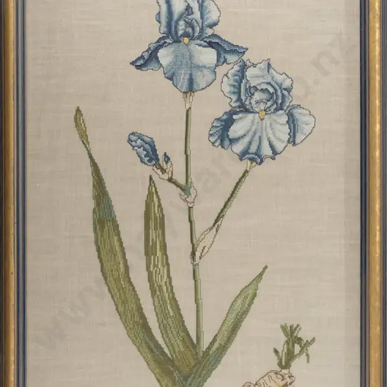 framed embroidery "Iris Pallida" H-635 W-405
