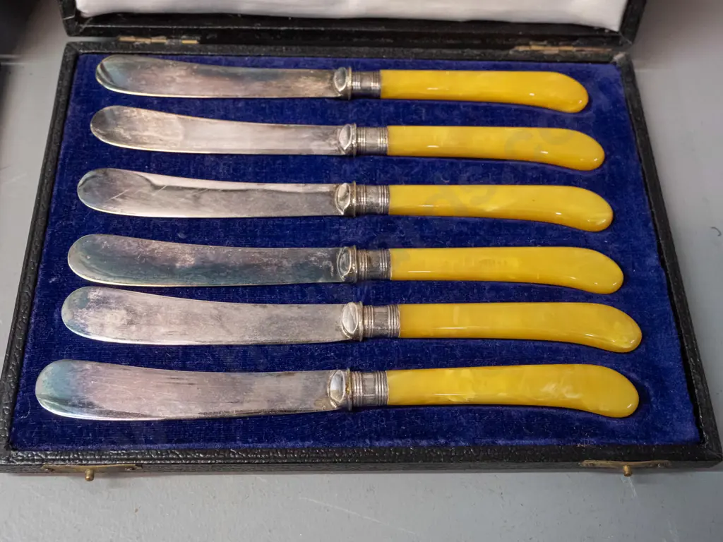 2 cased sets of 6 butter knives - mother of pearl handled with blades marked EPNS, other amber pistol grip handle, both Image 1++