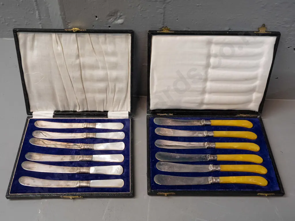 2 cased sets of 6 butter knives - mother of pearl handled with blades marked EPNS, other amber pistol grip handle, both Image 1++