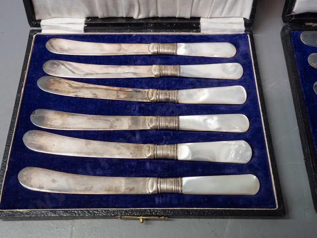 2 cased sets of 6 butter knives - mother of pearl handled with blades marked EPNS, other amber pistol grip handle, both Image 1++