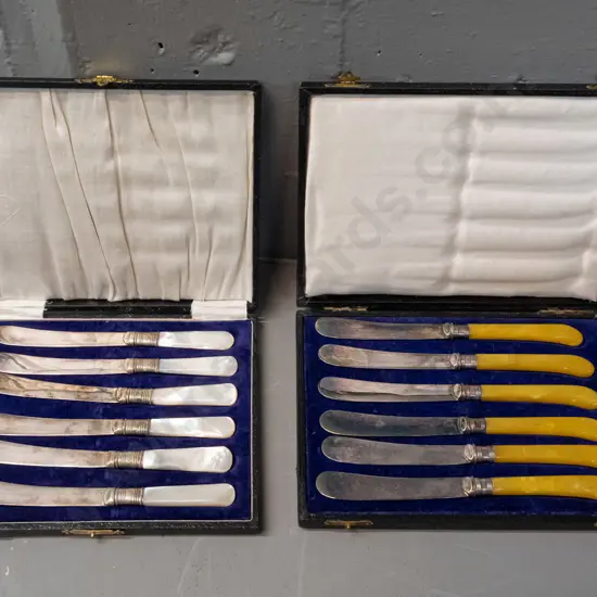 2 cased sets of 6 butter knives - mother of pearl handled with blades marked EPNS, other amber pistol grip handle, both