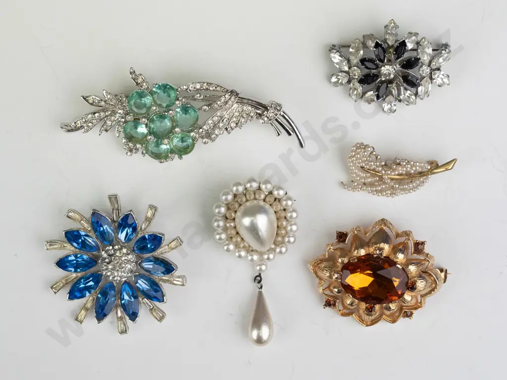 6 costume brooches Image 1++