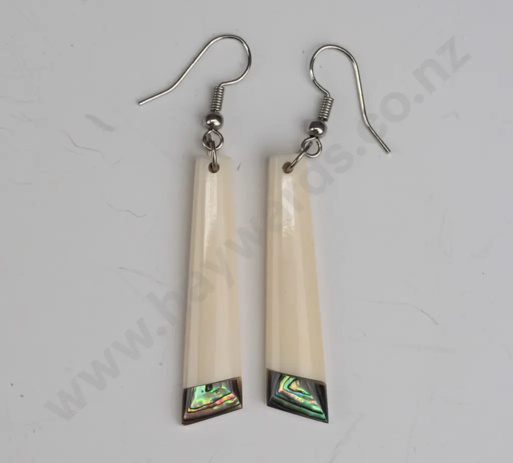 pair of earrings with paua shell Image 1++
