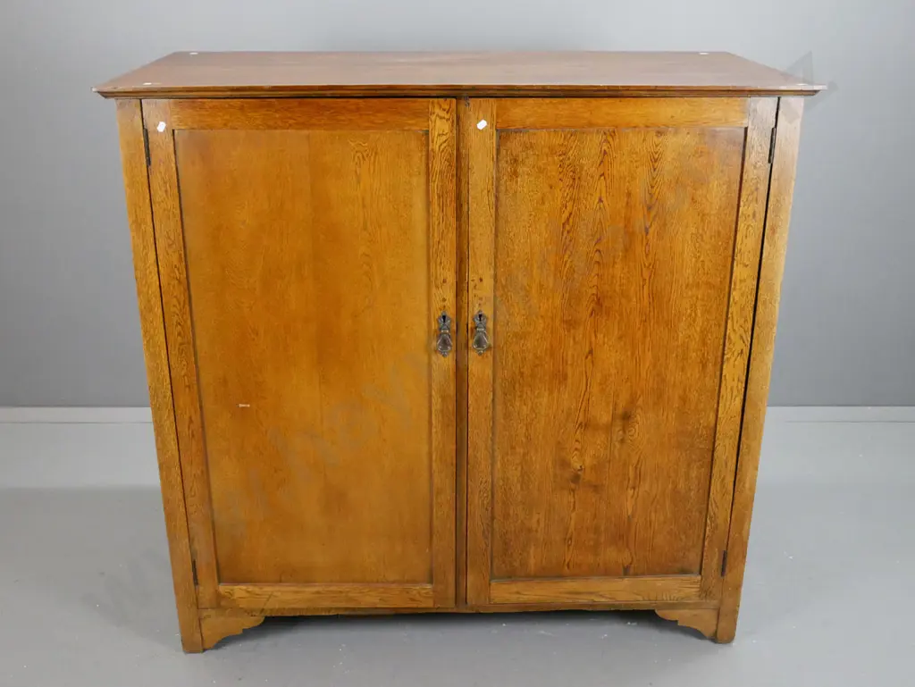 vintage oak 2 door cupboard, panelled sides and doors, drop brass handles, 2 shelves. Image 1++