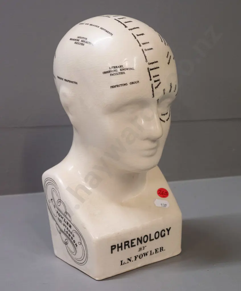 ceramic phrenology head marked L.N. Fowler London with crazed glaze finish H-270 W-130 D-90 Image 1++