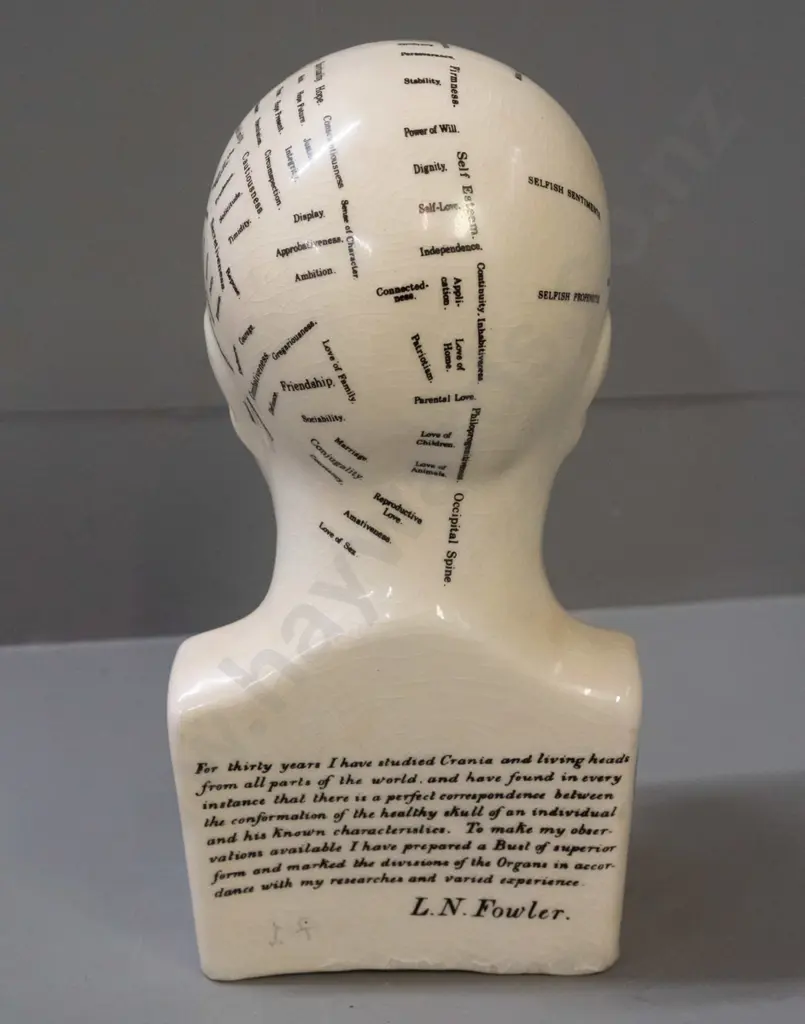 ceramic phrenology head marked L.N. Fowler London with crazed glaze finish H-270 W-130 D-90 Image 1++