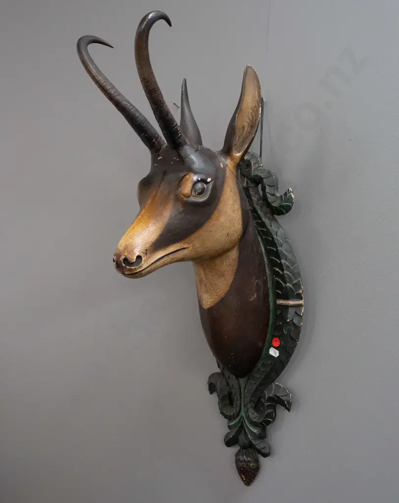 Black Forest carved wood chamois head, with real horns, on foliate carved shield backing board - some cracks and paint Image 1++