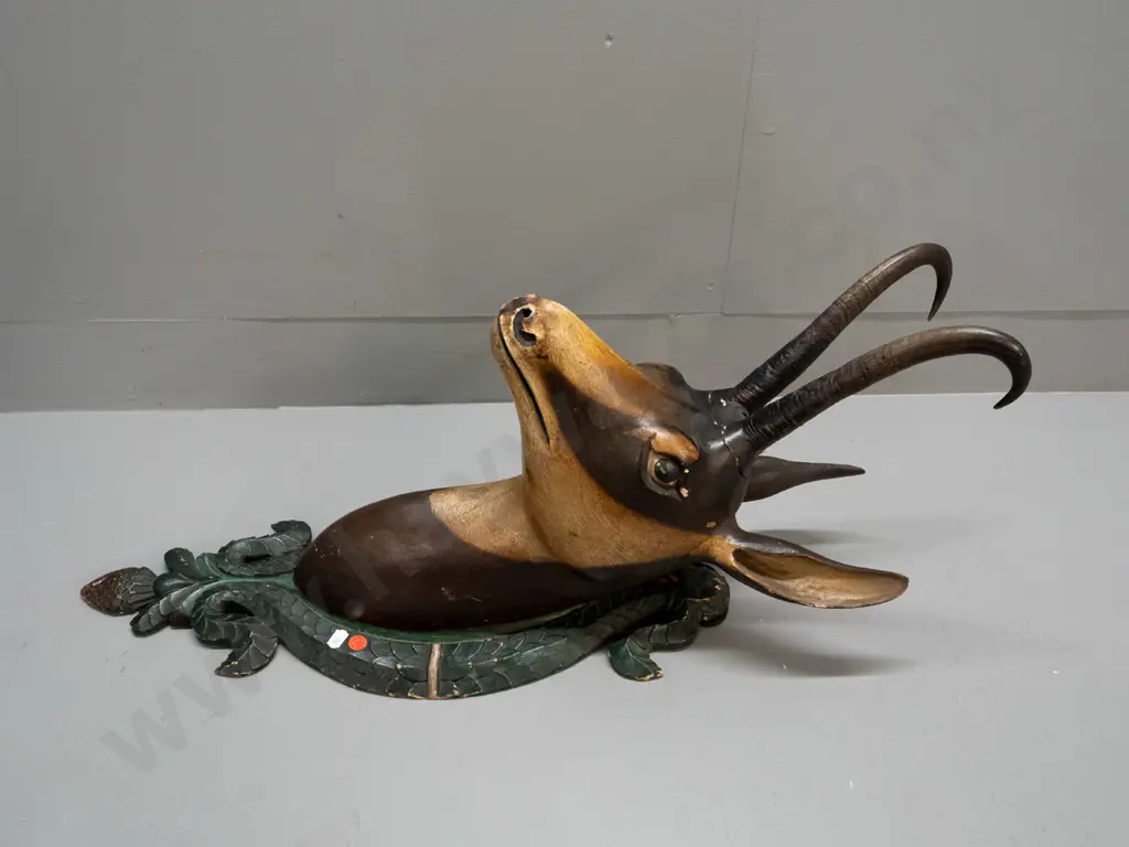 Black Forest carved wood chamois head, with real horns, on foliate carved shield backing board - some cracks and paint Image 1++