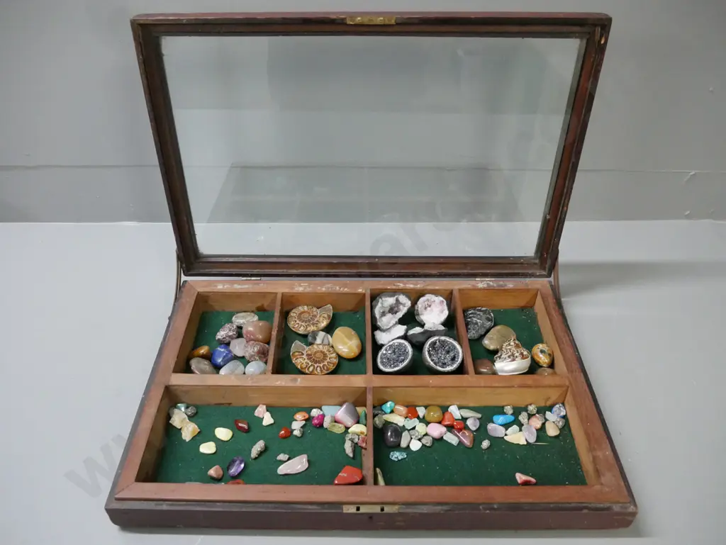 cased polished stones & gemstones, fossils & geodes. Segmented mahogany case w/ glass top, lock no key. H-65 W-490 L-330 Image 1++