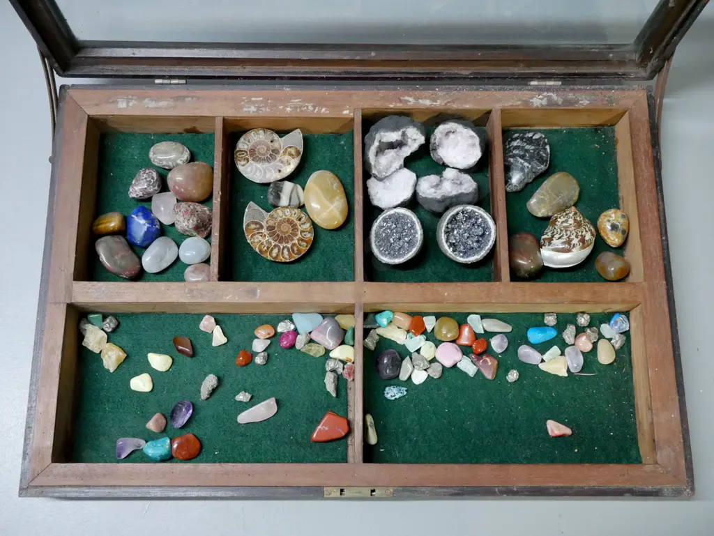 cased polished stones & gemstones, fossils & geodes. Segmented mahogany case w/ glass top, lock no key. H-65 W-490 L-330 Image 1++