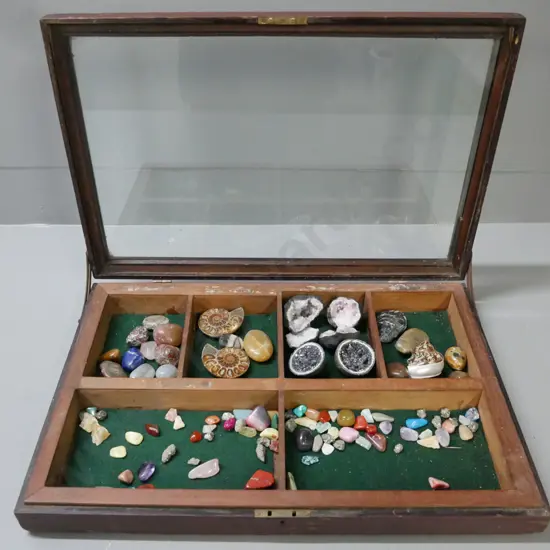 cased polished stones & gemstones, fossils & geodes. Segmented mahogany case w/ glass top, lock no key. H-65 W-490 L-330