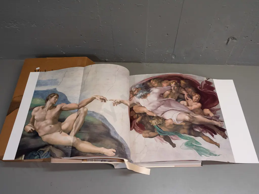 large hard cover book in original cardboard case - Michelangelo - Complete Works, pub. by Taschen, 2007. H-450 W-300 Image 1++