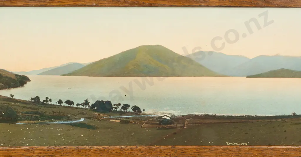 R.P. Moore -- framed hand-coloured photograph "Ohingaroa" H-170 W-925 [borer, insect debris under glass] Image 1++