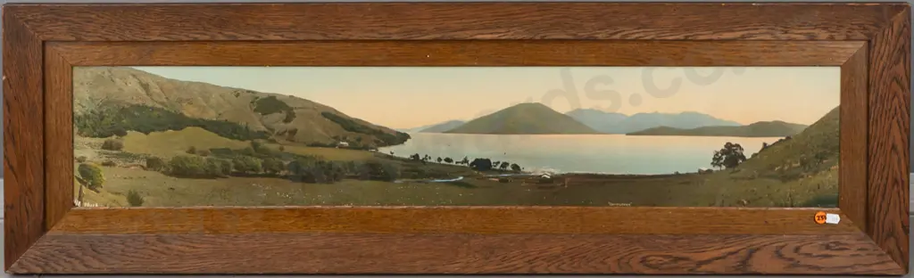 R.P. Moore -- framed hand-coloured photograph "Ohingaroa" H-170 W-925 [borer, insect debris under glass] Image 1++