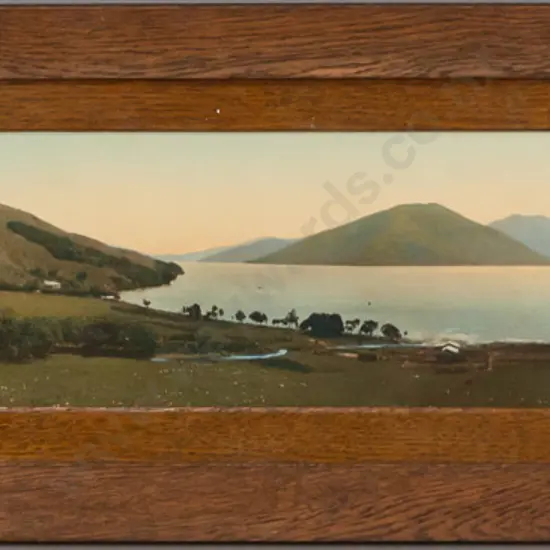R.P. Moore -- framed hand-coloured photograph "Ohingaroa" H-170 W-925 [borer, insect debris under glass]