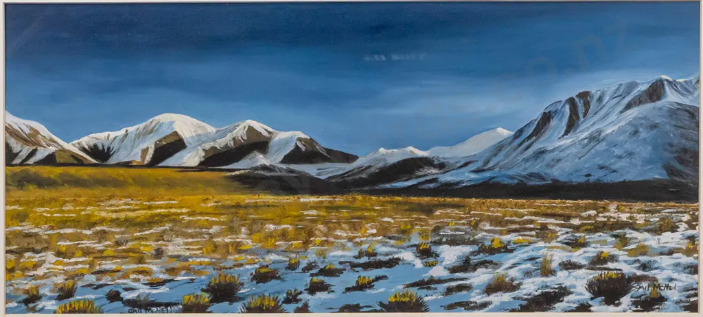 Gail McNeil - framed oil "Spaniards, Arhuriri Valley" H220 W480 (slight damage to frame) Image 1++