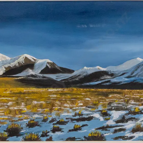 Gail McNeil - framed oil "Spaniards, Arhuriri Valley" H220 W480 (slight damage to frame)