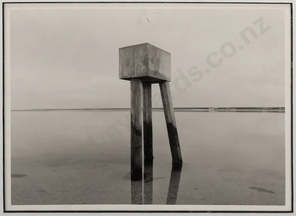 Erwin Brinkman - framed monochrome photograph - Awarua, April 95. H-145 W-200 Image 1++