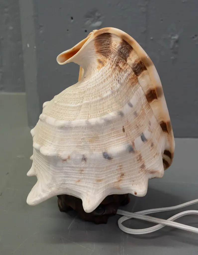 retro conch shell lamp on faux timber composite base - going, but shell has small chip to top end H-220 Image 1++