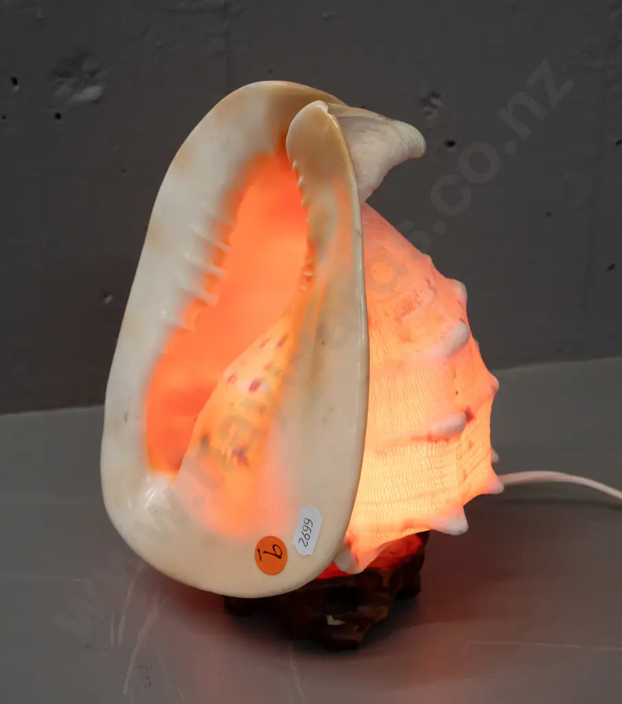 retro conch shell lamp on faux timber composite base - going, but shell has small chip to top end H-220 Image 1++