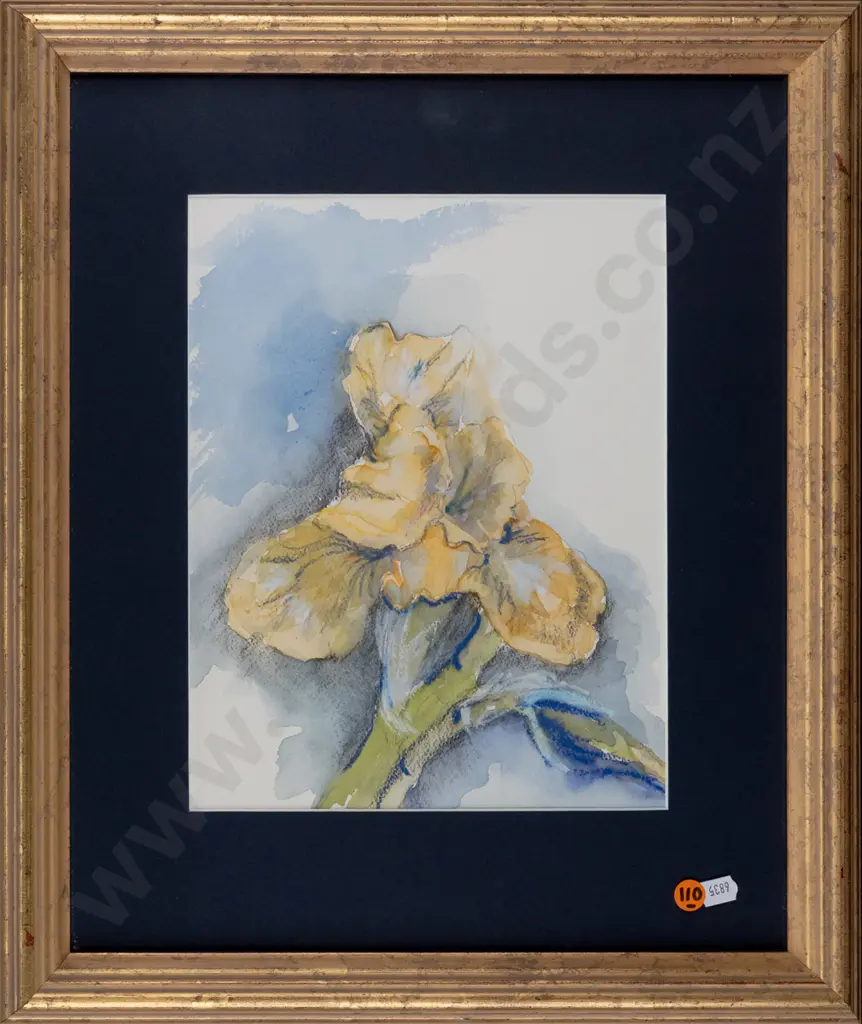 Harry Scott 1994 -- framed pastel & watercolour on paper "Iris" H-270 W-210 Image 1++