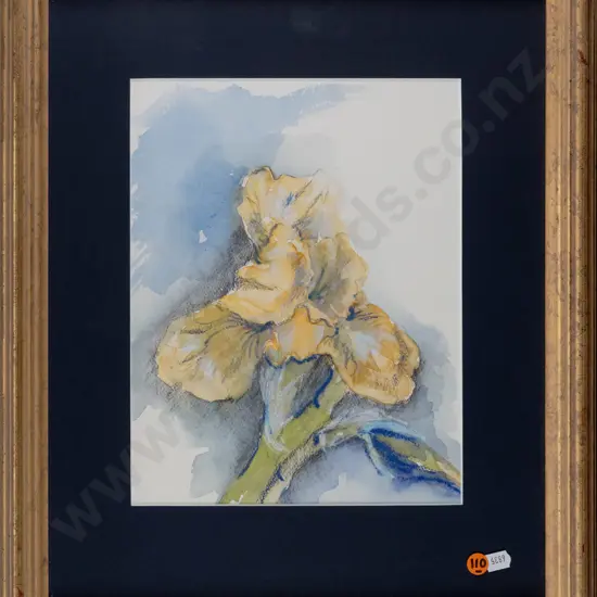 Harry Scott 1994 -- framed pastel & watercolour on paper "Iris" H-270 W-210