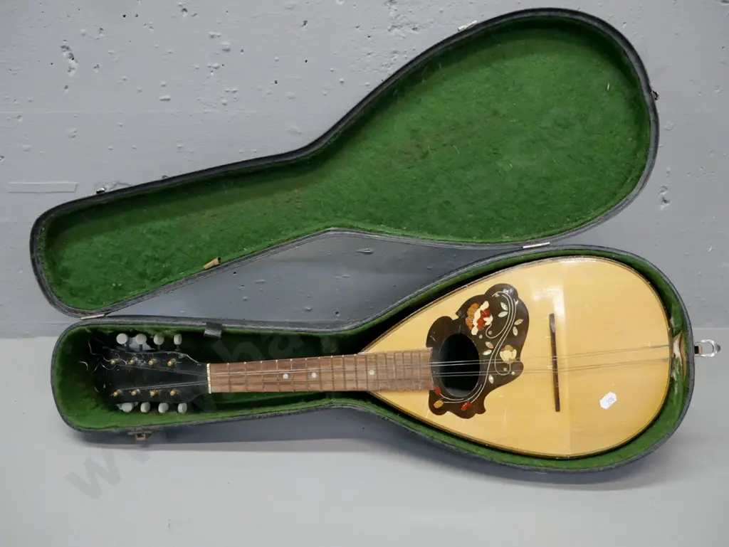 bowl back mandolin with original case, no makers mark, mother of pearl etc inlaid pick guard L-600 [some wear & Image 1++