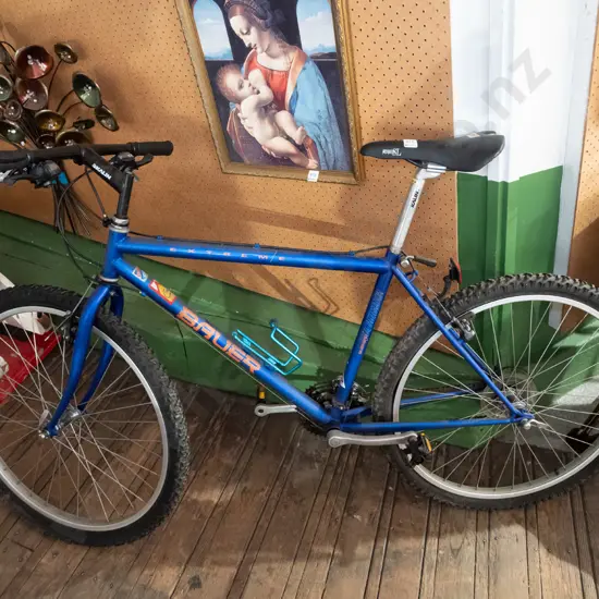 Bauer mountain bike